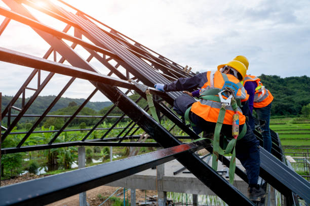 Best Metal Roofing Contractor  in Elk Ridge, UT