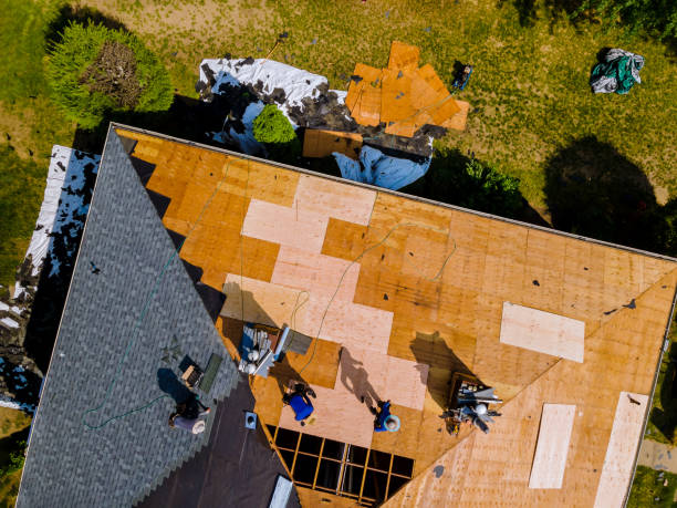 Best Local Roofing Companies  in Elk Ridge, UT